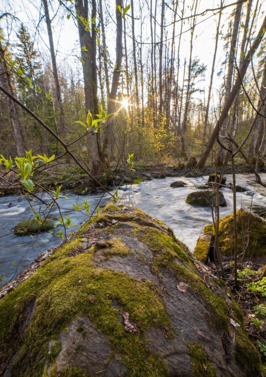 Kevätkoski (Nukarinkoski, Nurmijärvi)