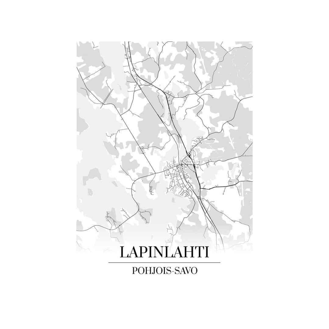 Lapinlahti-karttataulu: mustavalkoinen katukartta kaupungin katuverkosta