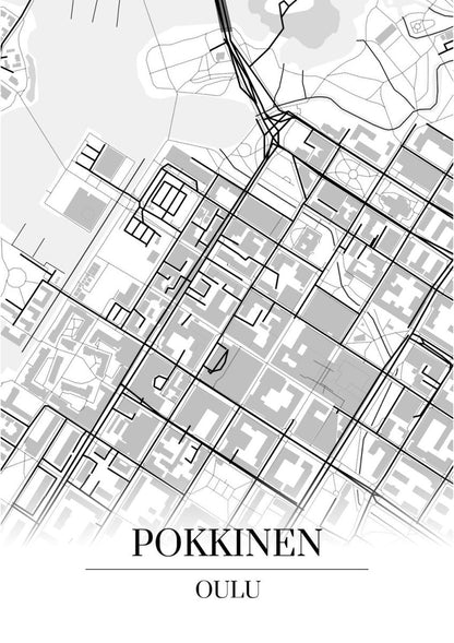 Pokkinen‎