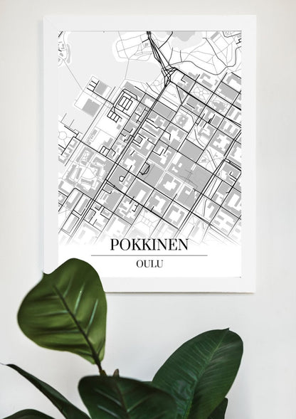 Pokkinen‎