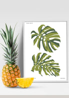 Tropical Day #17