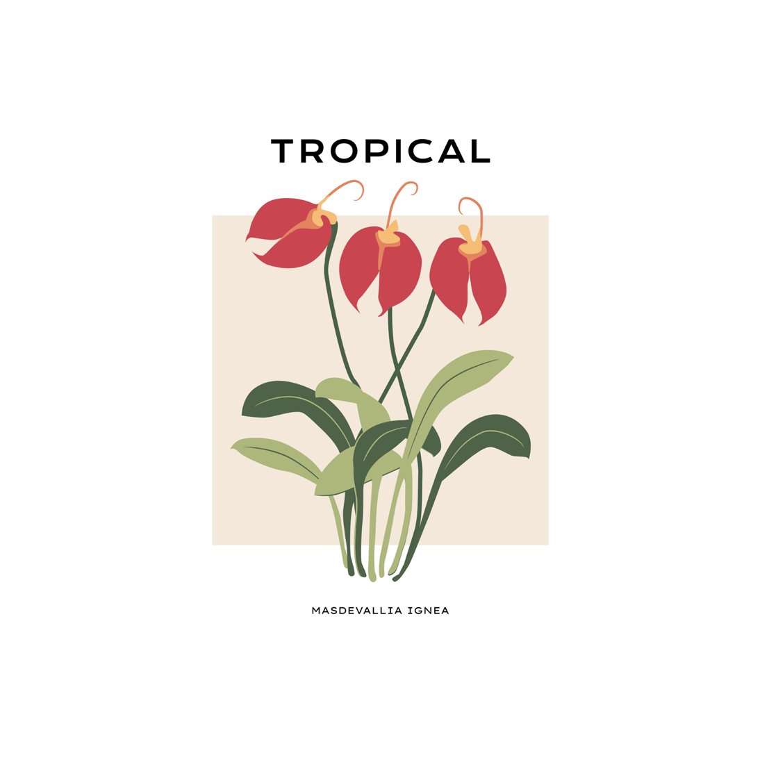 Tropical Day #18