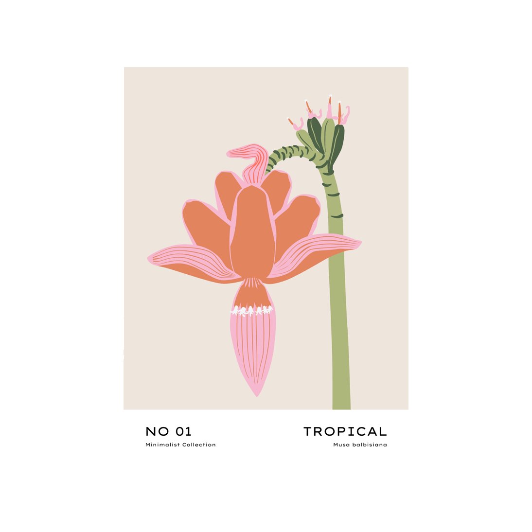 Tropical Day #2