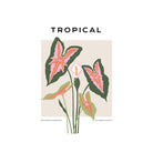 Tropical Day #24