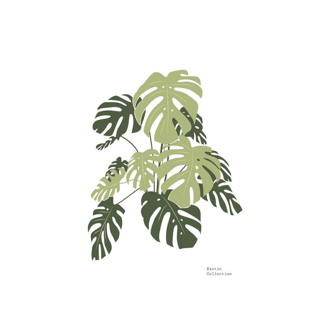 Tropical Day #3