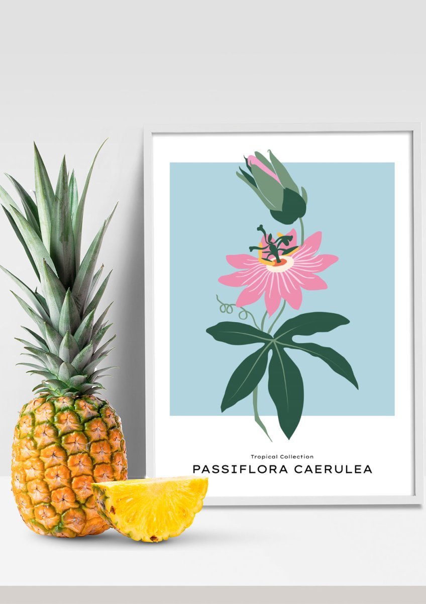 Tropical Day #34