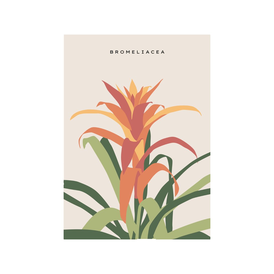 Tropical Day #37