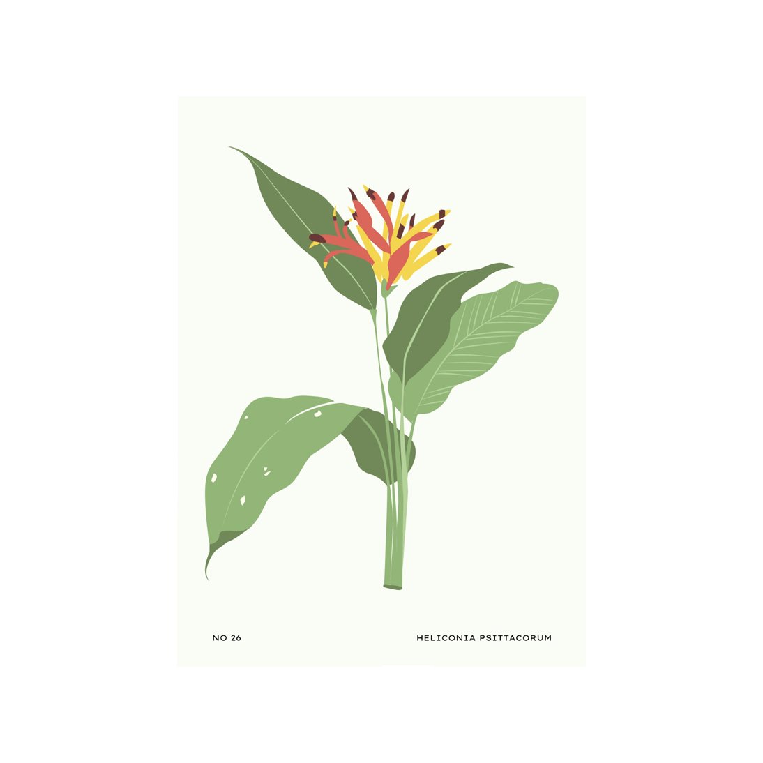 Tropical Day #38