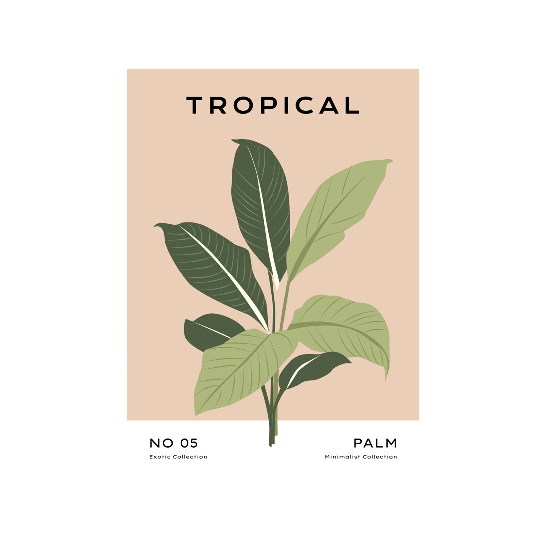 Tropical Day #49