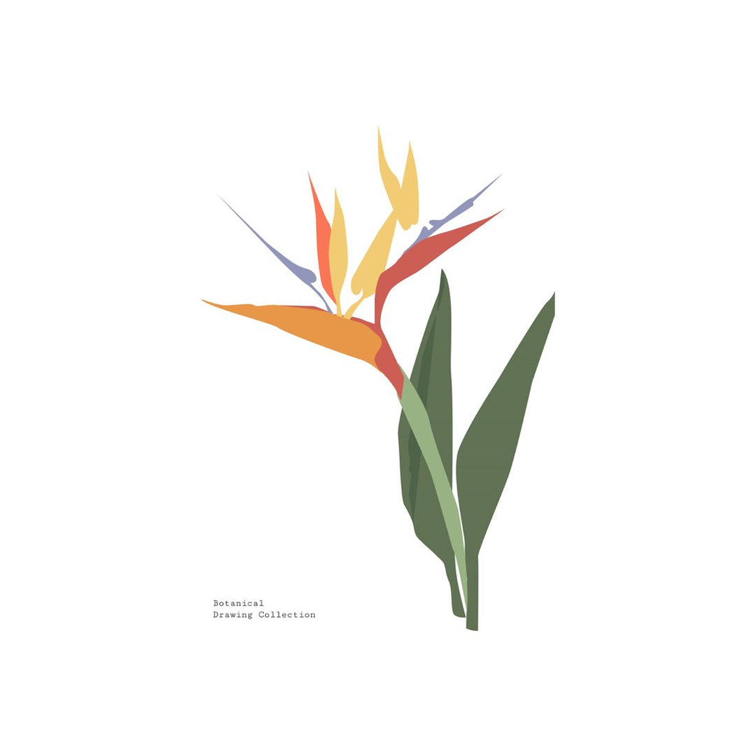 Tropical Day #63
