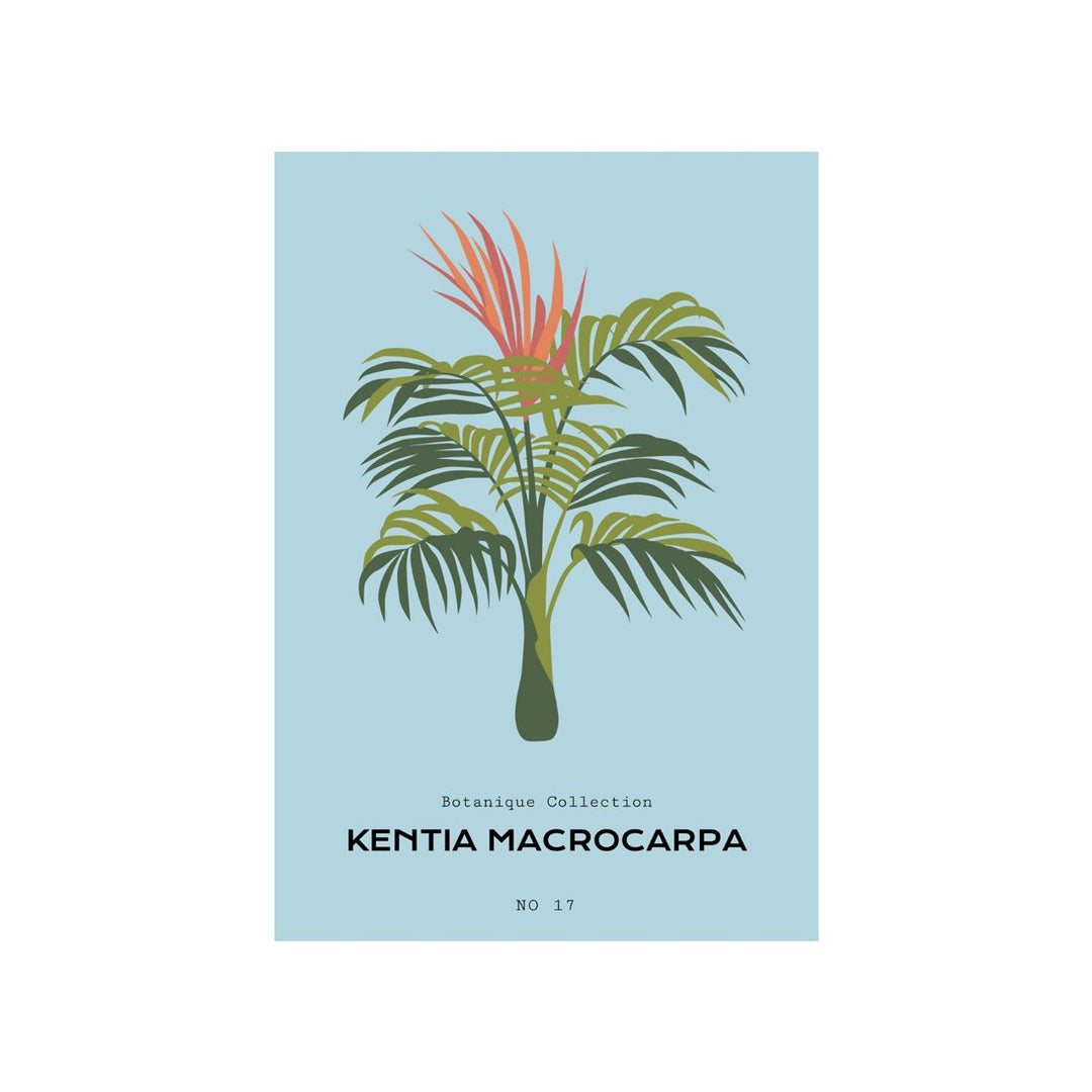 Tropical Day #8