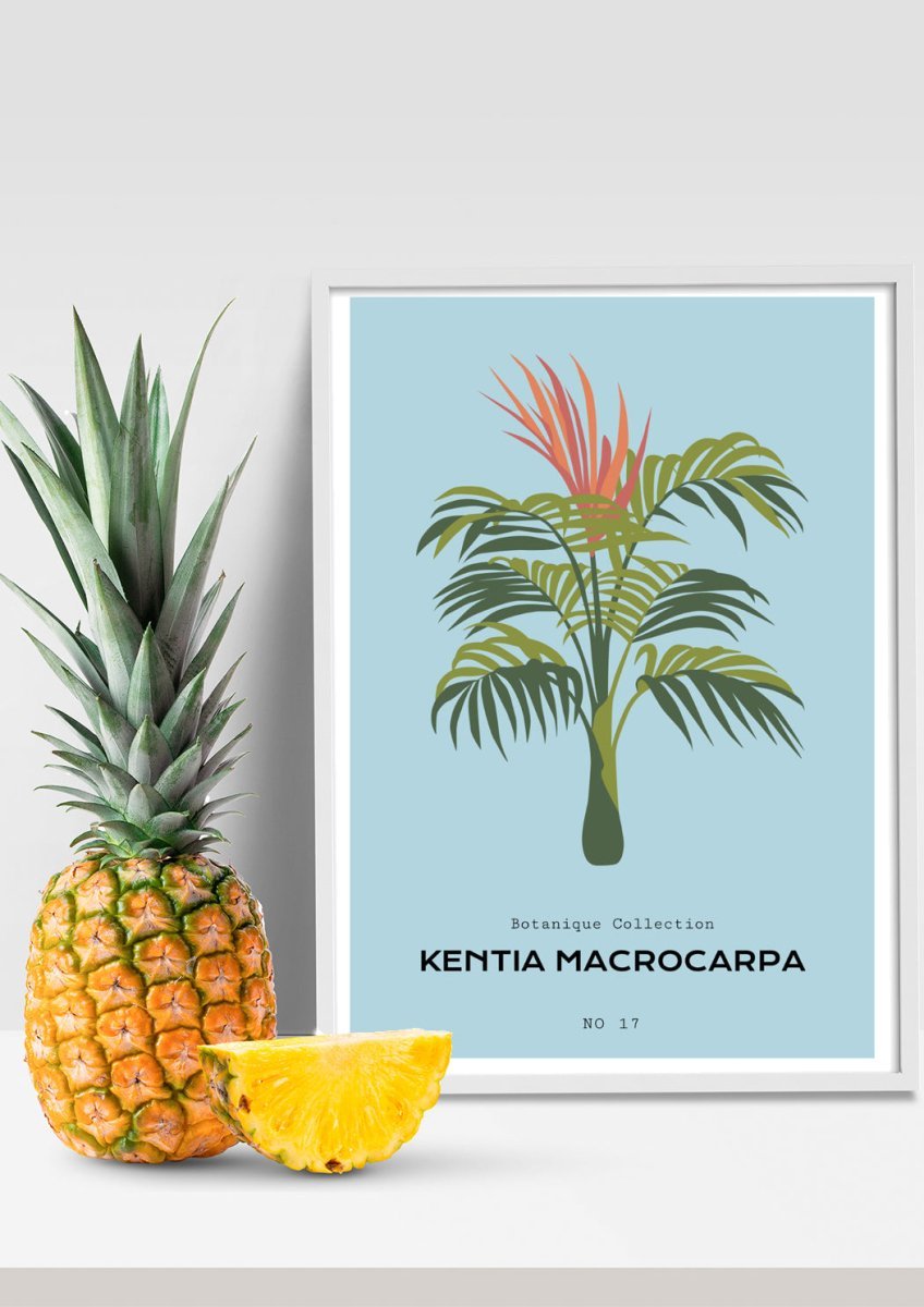 Tropical Day #8