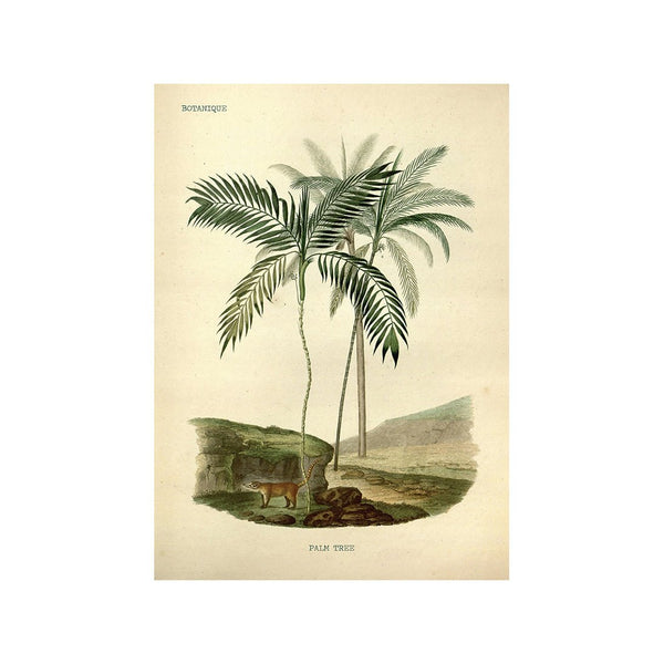 Stories from the Tropics