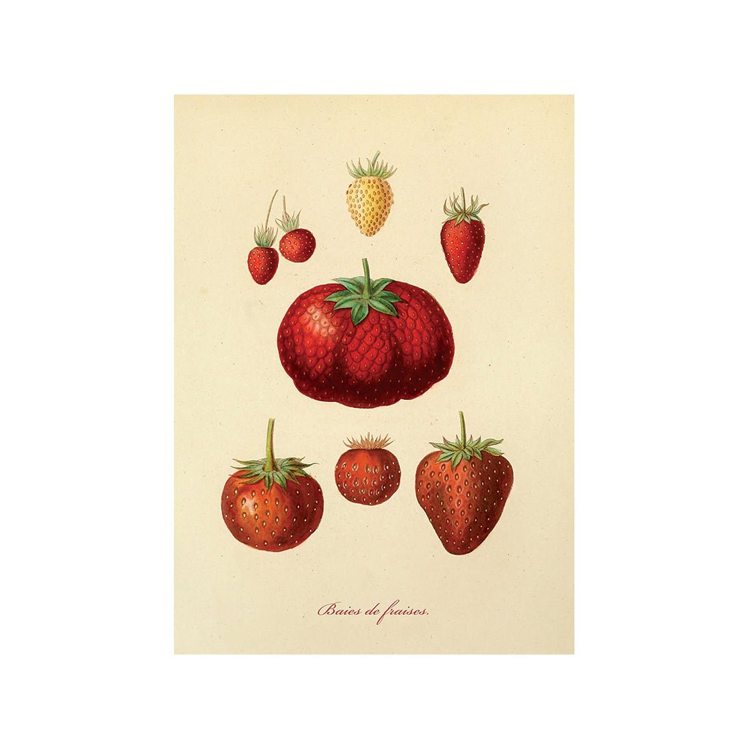 Taste of Nature's Joy II