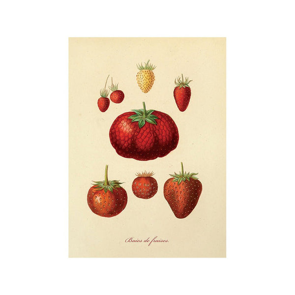 Taste of Nature's Joy II