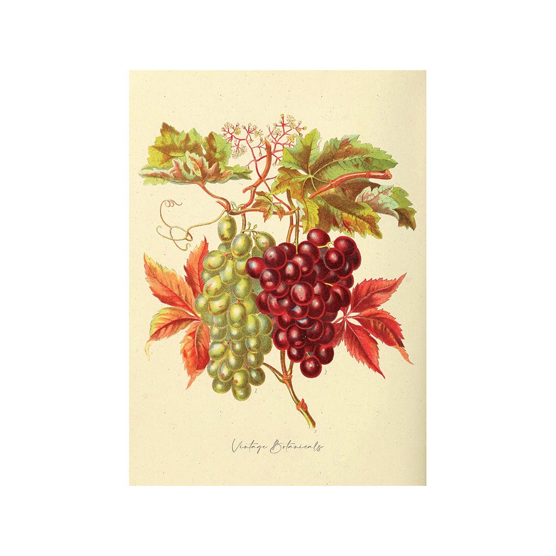 From Farm to Table II