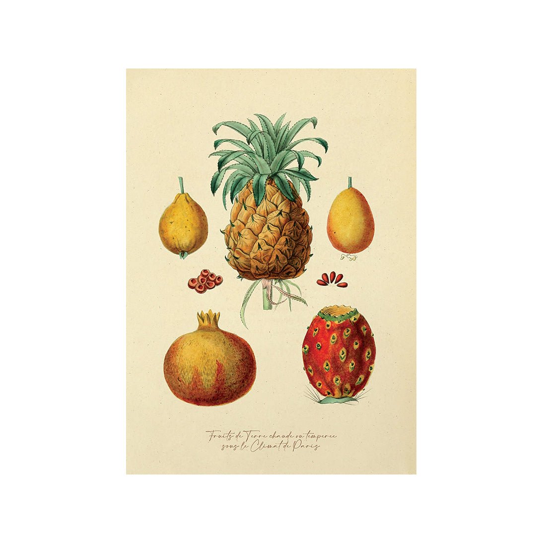 Visual Feast of Fresh Fare I