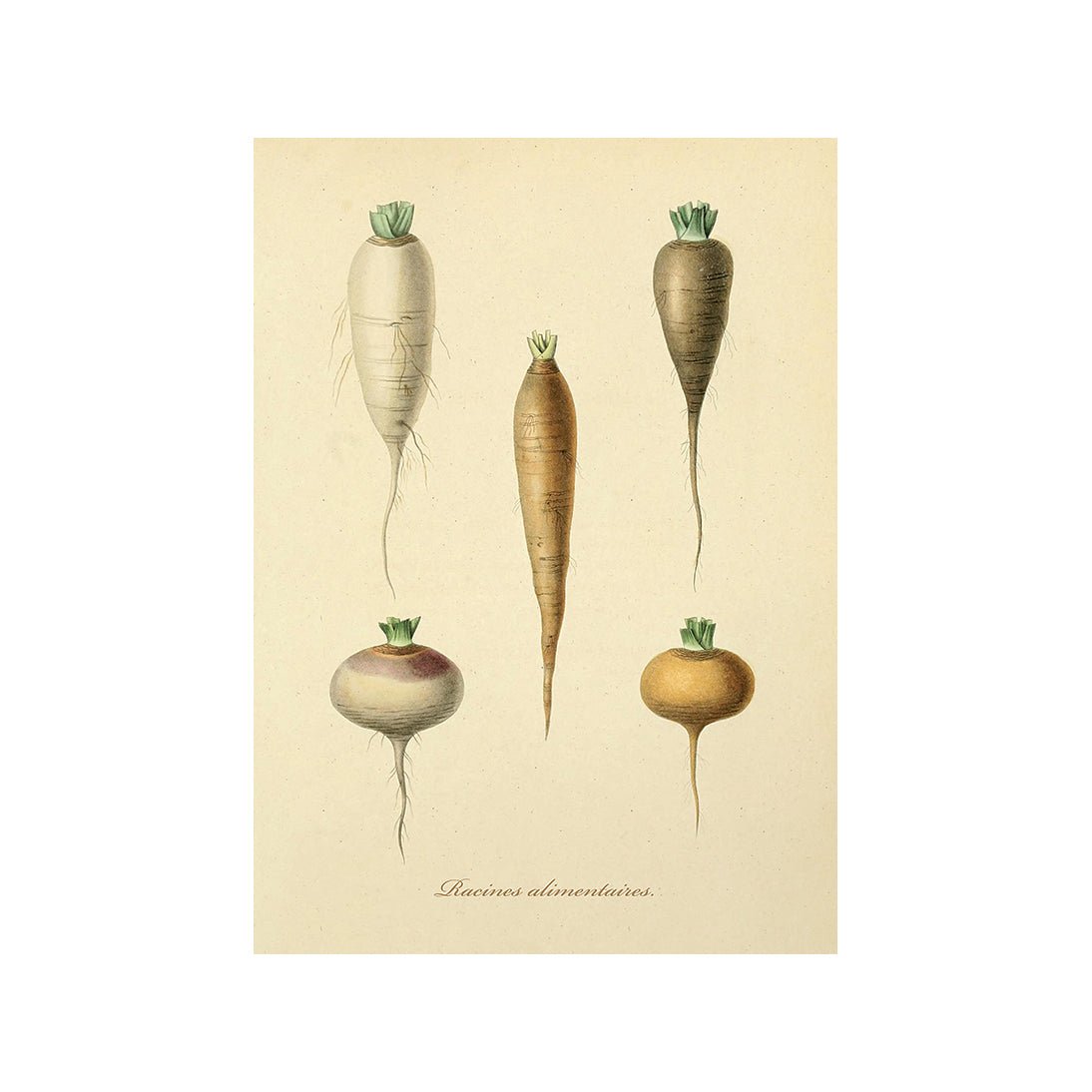 The Bountiful Garden I