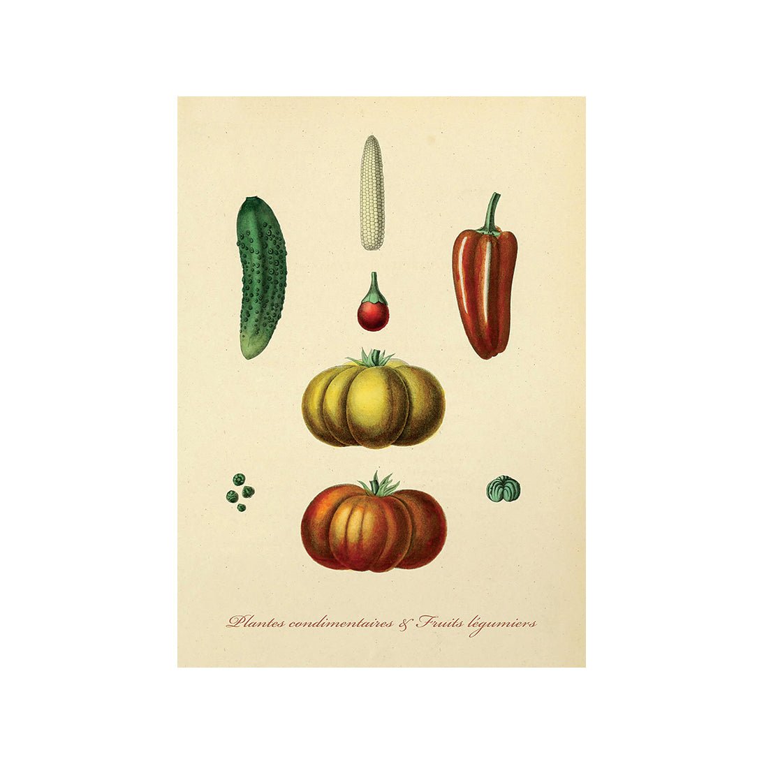 Taste of Nature's Joy I