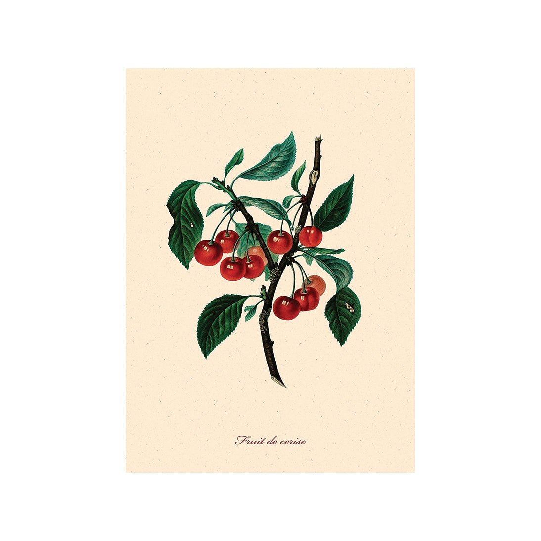 From Earth to Plate III