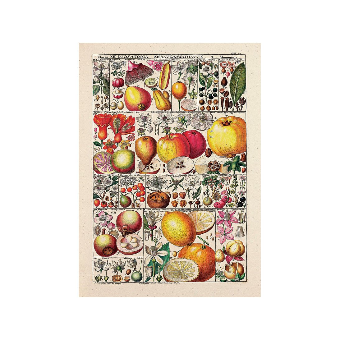 Flavors of the Earth II