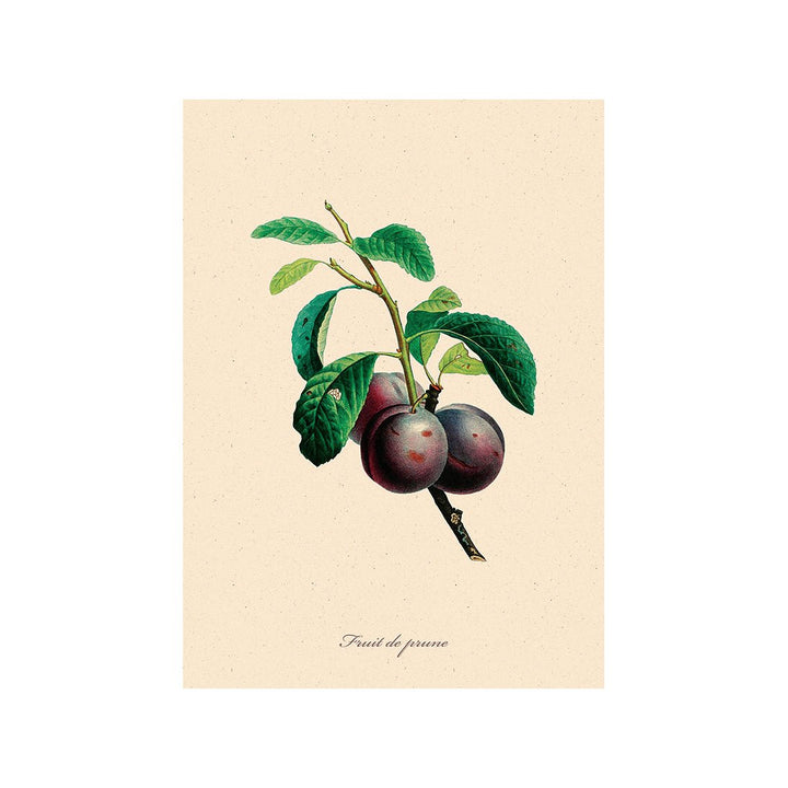 The Bountiful Garden II